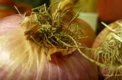 Of threats and misconceptions