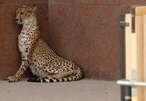 Oh God! Save Me! Forgive Them!