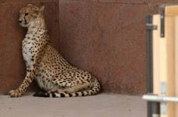 Oh God! Save Me! Forgive them!