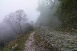 Oh My God,,,,,,,,,,,,,,,