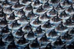 Olympics 2008 Beijing Opening Ceremony revisited