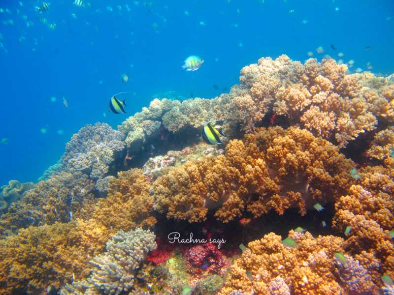 On That Bright Summer Day