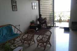 On a lazy sunday morning