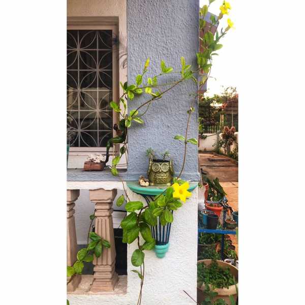 On Compassion, Connection And Belonging