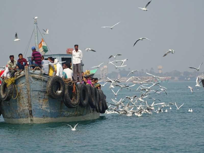 On The Road, Gujarat