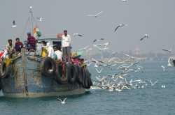 On the road, Gujarat