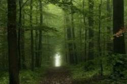 One Fine Monday Morning