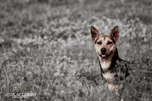 One Frame Stories! Frame 12