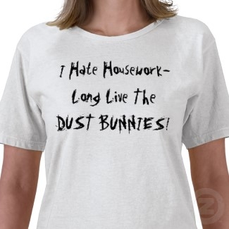 One Month To Reclaiming Your House From CHAOS