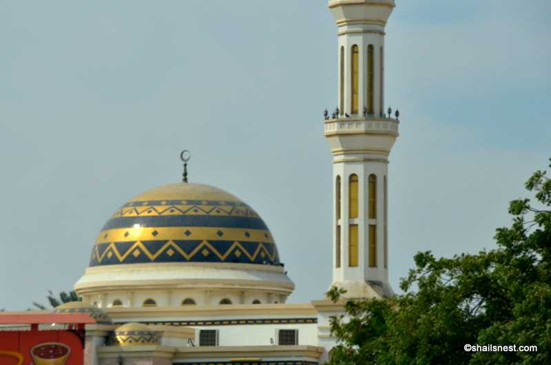 One Word Sunday: Golden