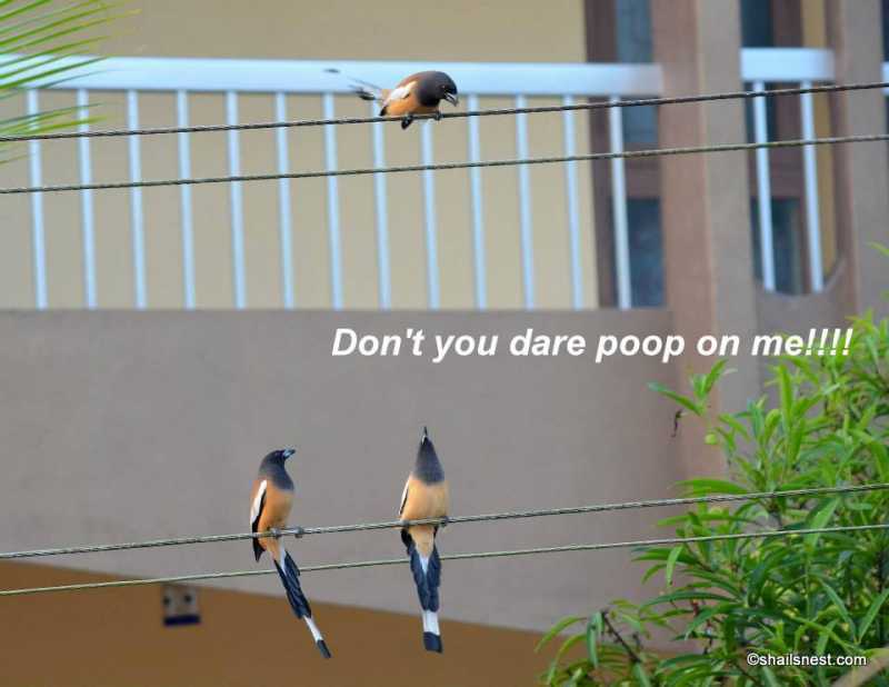 One Word Sunday: Humor