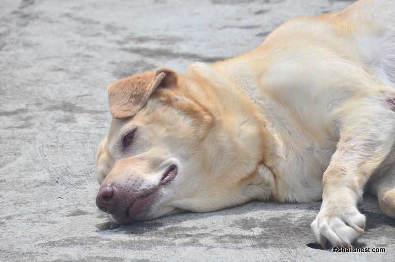 One Word Sunday: Muse