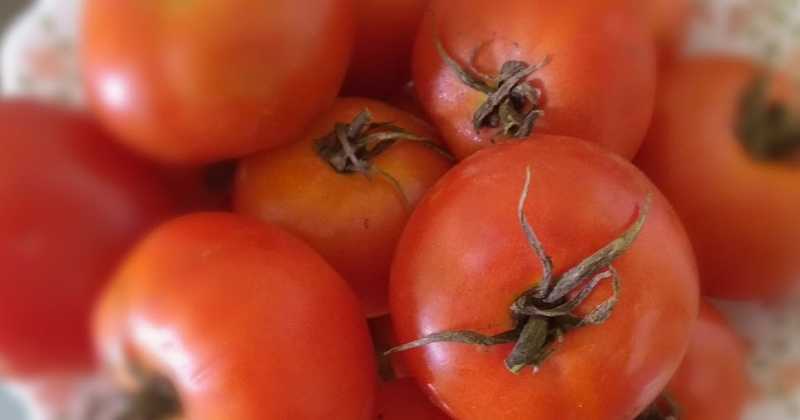 One Crazy Post By One Crazy Gal!