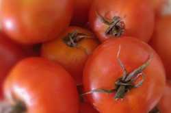 One crazy post by one crazy gal!