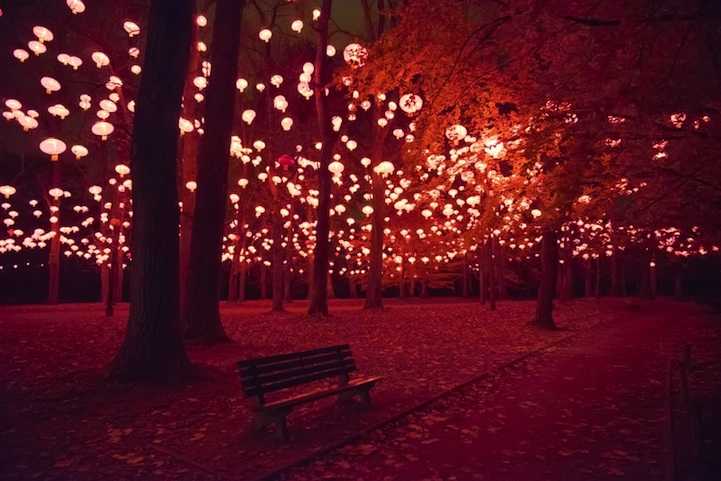 One Day I Will Marry You