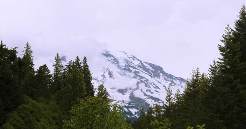 One Day At Rainier National Park