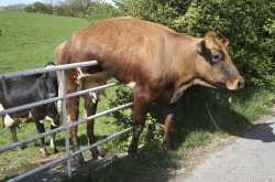 One wrong choice & you’re stuck for life