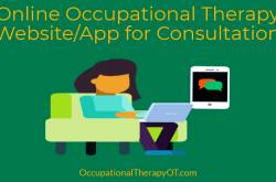 Online Occupational Therapy App for Occupational Therapy Consultation