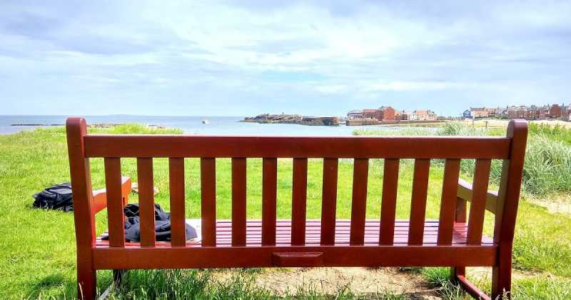 Oops, We Did It Again!