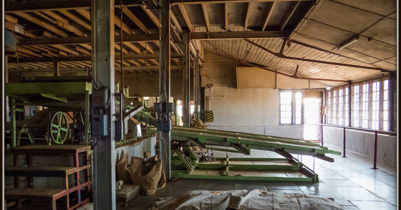 Ooty Tourist Places | Top 5 Tourist Places In Ooty