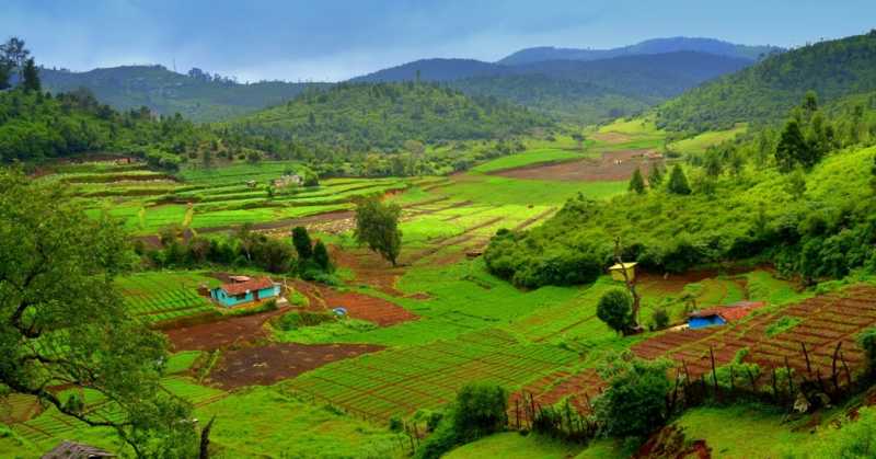 Ooty Road Trip Experience - I