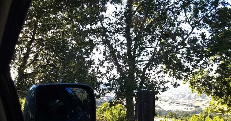 Open Letter - 10 (Myself)