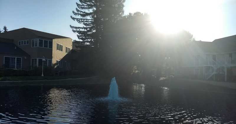 Open Letter -5 (Sun)