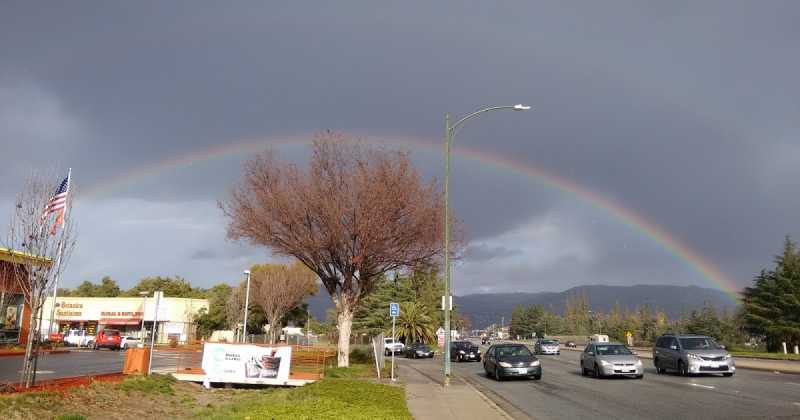 Open Letter- 6 (Rainbow)