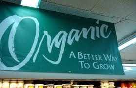 Optimized Websites With Organic SEO Tactics