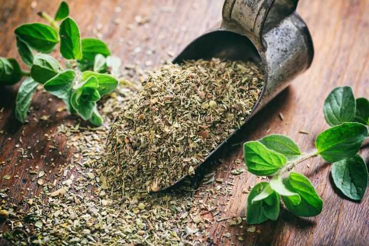 Oregano: High Levels Of Contaminant Found » Healthilicious Plate