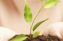 Organic Skin Care Products