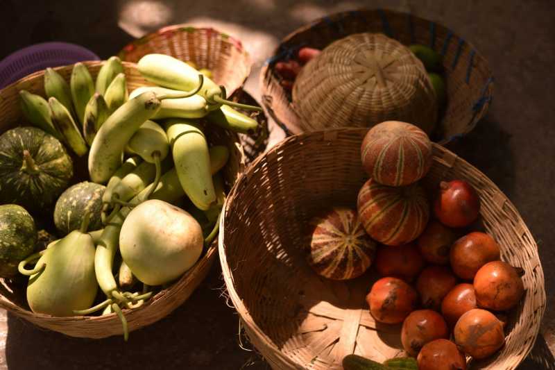 Organic Agriculture Is Viable #WATWB ~ Kalpanaawrites