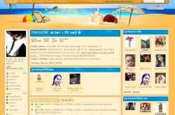 orkut themes launched officially finally