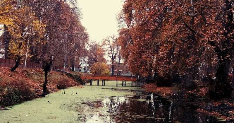 Our Harud In Kashmir