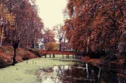 Our Harud in Kashmir