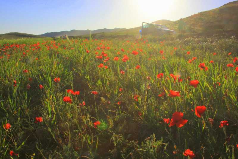 Our Baby‘s First Road Trip In Photos