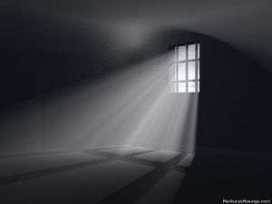 Out Of Hibernation ... With IPL & IPL !!