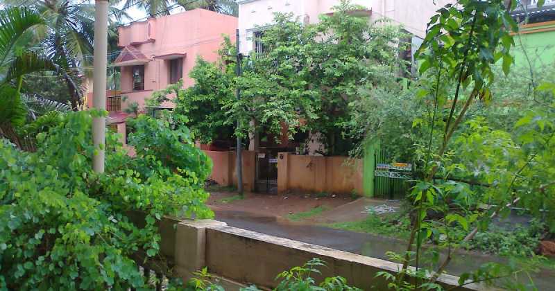 Outdoors To Indoors. 