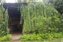 Ovalekar Wadi Butterfly Garden - Picnic Spot for Kids in Mumbai