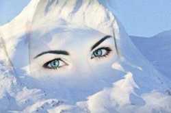 Overland  by Mark Stephen Levy ...book review