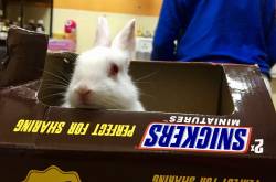 Owning each other’s madness.