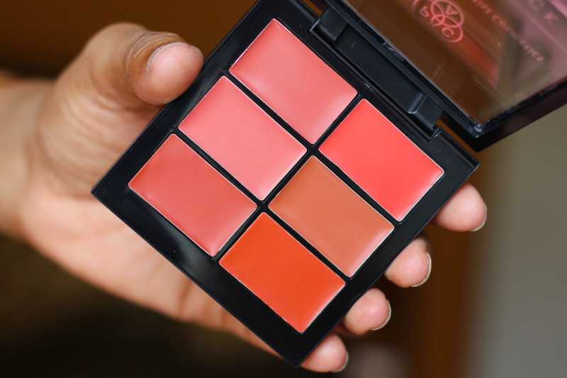 PAC 6 Lip Color Palette 01 Pink & 02 Nude Review Swatches Photos
