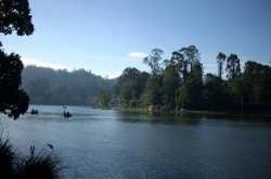 PARADISE- INDIA- Visit a new place everyday