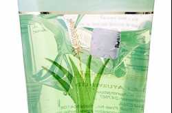 PATANJALI SAUNDARYA ALOE VERA GEL | Review | Ruchi Jadhav