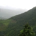 PAs In Western Ghats Slow Down Deforestation Except Near Highly Populated Areas, Finds Study