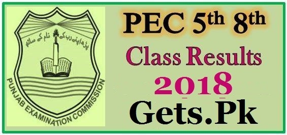 PEC Full Gazette 5th & 8th Class Result 2018 Multan