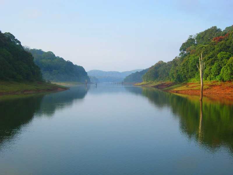 PERIYAR TIGER RESERVE- India’s One Of The Best Night Safari Experience