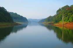 PERIYAR TIGER RESERVE- India’s One of the Best Night Safari experience