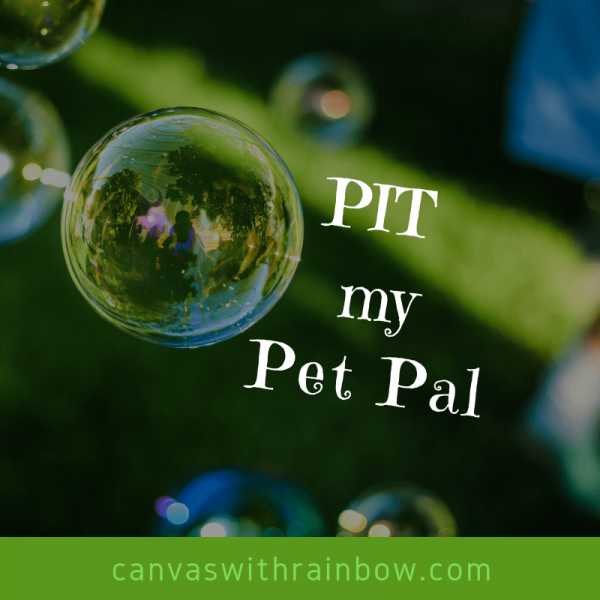 PIT My Pet Pal
