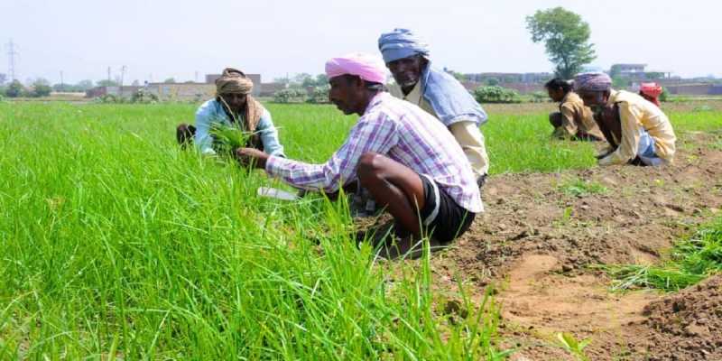 PM Kisan Yojana: 2.5 करोड़ से अधिक किसानो को सरकार ने बांटे 5,215 करोड़ रुपये - Infnd